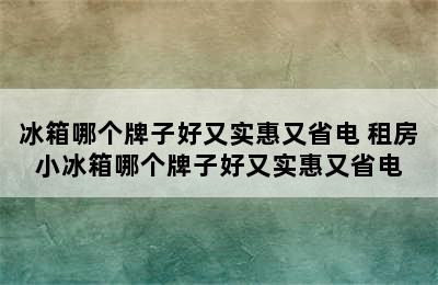 冰箱哪个牌子好又实惠又省电 租房小冰箱哪个牌子好又实惠又省电